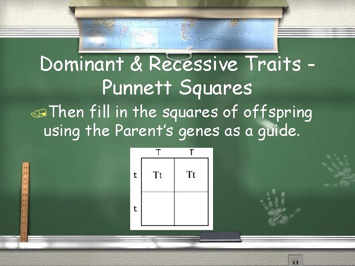 Dominant & Recessive Traits Punnett Squares Then fill in the squares of offspring using