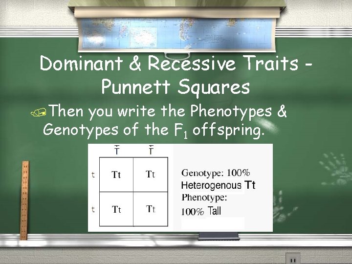 Dominant & Recessive Traits Punnett Squares Then you write the Phenotypes & Genotypes of