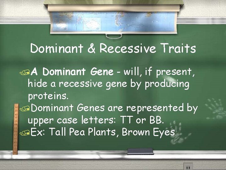 Dominant & Recessive Traits A Dominant Gene - will, if present, hide a recessive