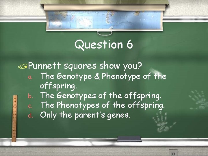 Question 6 Punnett a. b. c. d. squares show you? The Genotype & Phenotype