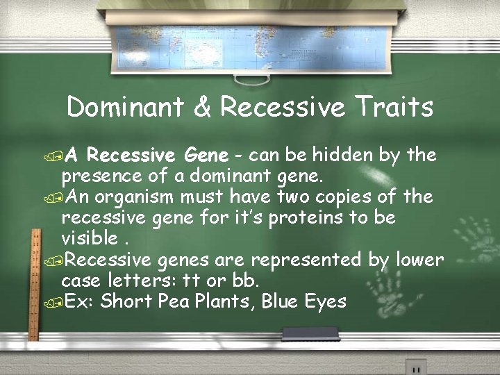 Dominant & Recessive Traits A Recessive Gene - can be hidden by the presence