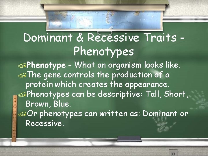 Dominant & Recessive Traits Phenotype - What an organism looks like. The gene controls