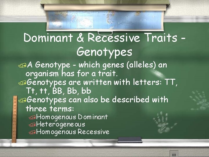 Dominant & Recessive Traits Genotypes A Genotype - which genes (alleles) an organism has