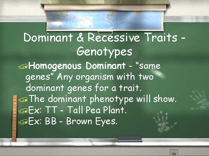 Dominant & Recessive Traits Genotypes Homogenous Dominant - “same genes” Any organism with two