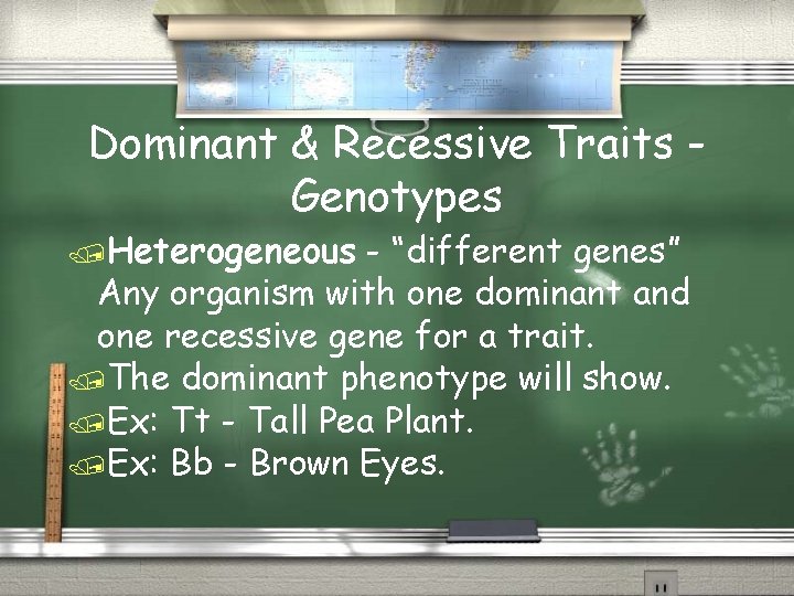 Dominant & Recessive Traits Genotypes Heterogeneous - “different genes” Any organism with one dominant