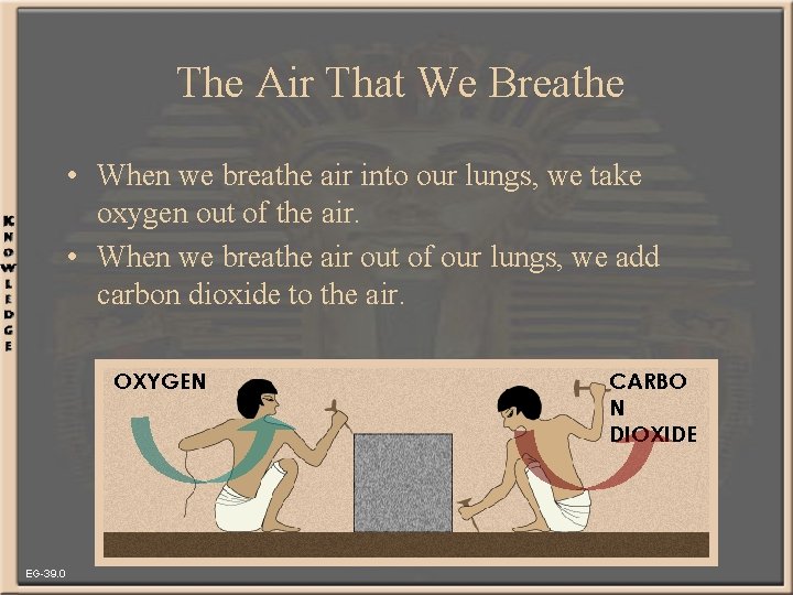 The Air That We Breathe • When we breathe air into our lungs, we
