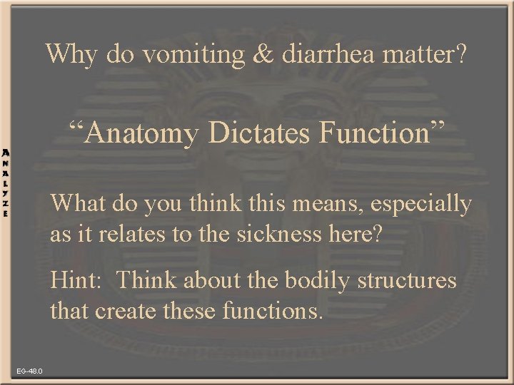 Why do vomiting & diarrhea matter? “Anatomy Dictates Function” What do you think this