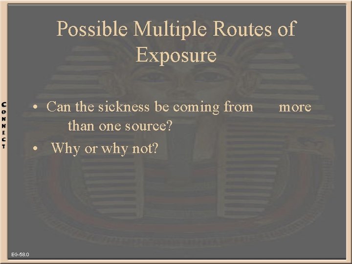 Possible Multiple Routes of Exposure • Can the sickness be coming from than one