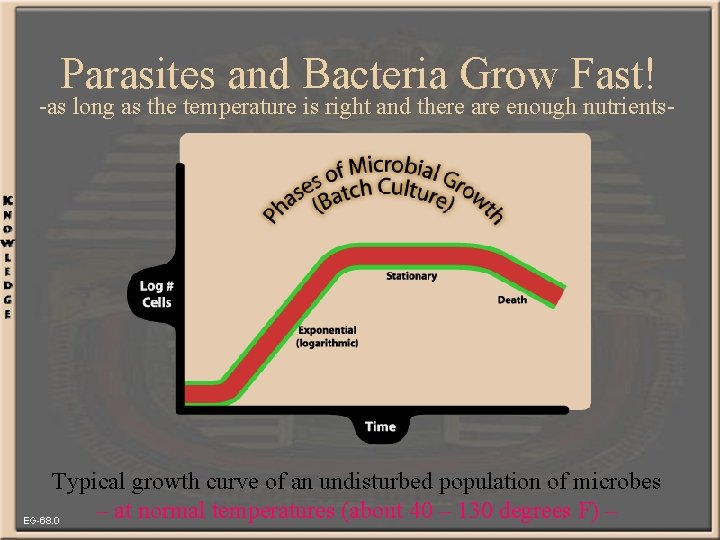 Parasites and Bacteria Grow Fast! -as long as the temperature is right and there