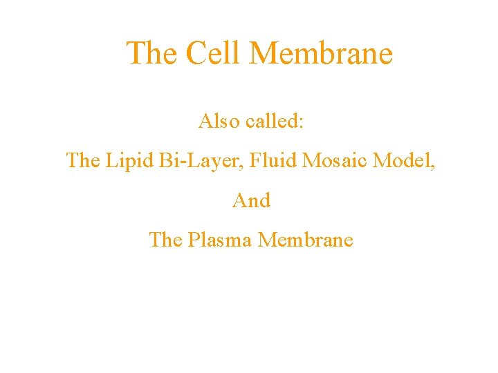 The Cell Membrane A barrier that separates a cell from its surroundings. Also called: