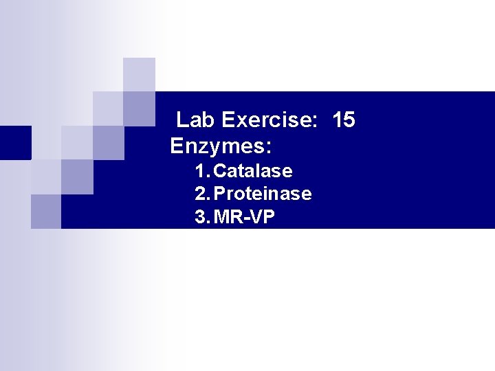 Lab Exercise: 15 Enzymes: 1. Catalase 2. Proteinase 3. MR-VP 