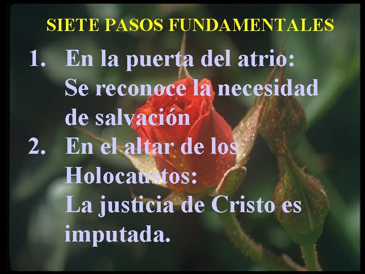 SIETE PASOS FUNDAMENTALES 1. En la puerta del atrio: Se reconoce la necesidad de SIETE PASOS FUNDAMENTALES 1. En la puerta del atrio: Se reconoce la necesidad de