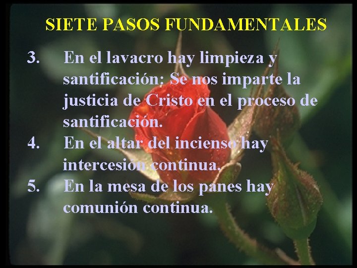 SIETE PASOS FUNDAMENTALES 3. 4. 5. En el lavacro hay limpieza y santificación: Se SIETE PASOS FUNDAMENTALES 3. 4. 5. En el lavacro hay limpieza y santificación: Se