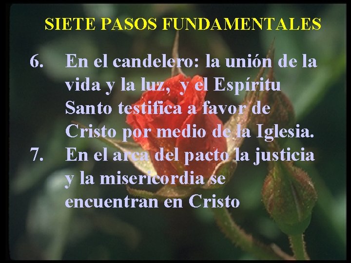 SIETE PASOS FUNDAMENTALES 6. 7. En el candelero: la unión de la vida y SIETE PASOS FUNDAMENTALES 6. 7. En el candelero: la unión de la vida y