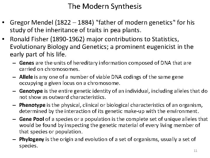 The Modern Synthesis • Gregor Mendel (1822 – 1884) "father of modern genetics" for