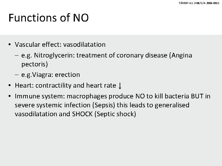 TÁMOP-4. 1. 2 -08/1/A-2009 -0011 Functions of NO • Vascular effect: vasodilatation – e.