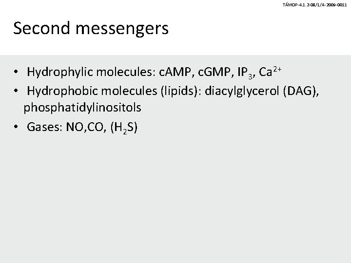 TÁMOP-4. 1. 2 -08/1/A-2009 -0011 Second messengers • Hydrophylic molecules: c. AMP, c. GMP,