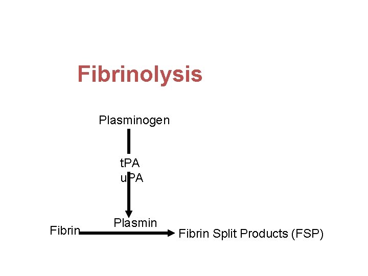 Fibrinolysis Plasminogen t. PA u. PA Fibrin Plasmin Fibrin Split Products (FSP) 