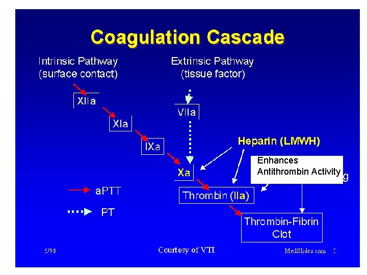 Enhances Antithrombin Activity 