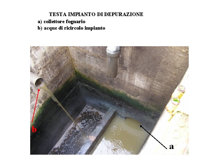 TESTA IMPIANTO DI DEPURAZIONE a) collettore fognario b) acque di ricircolo impianto b a