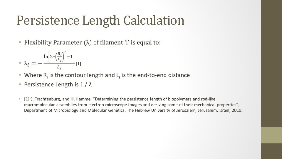 Persistence Length Calculation • 