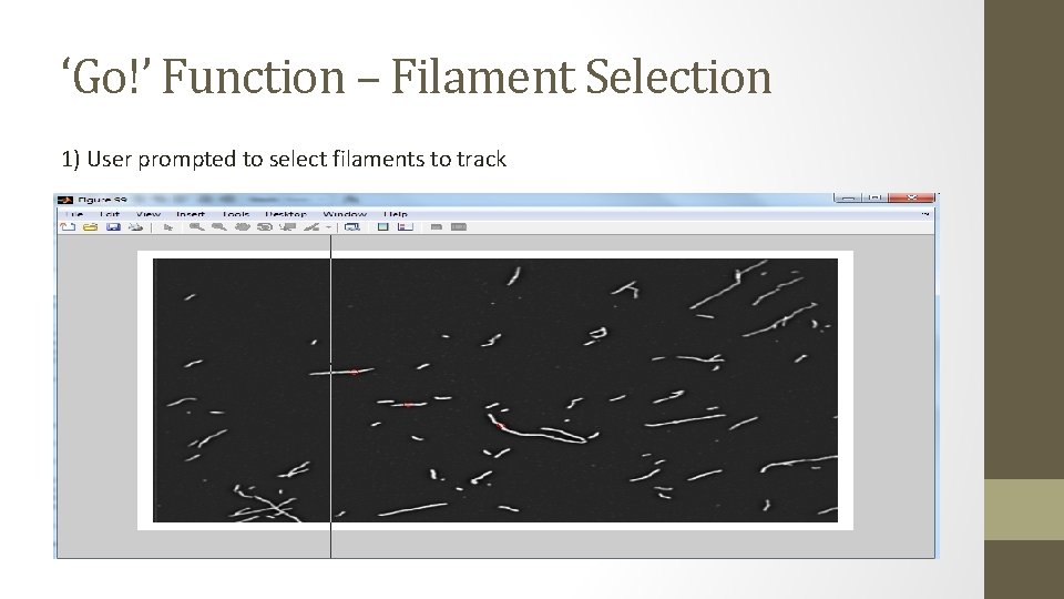 ‘Go!’ Function – Filament Selection 1) User prompted to select filaments to track 