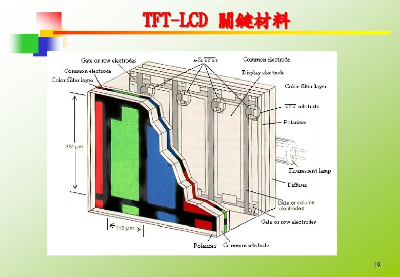 TFT-LCD 關鍵材料 19 