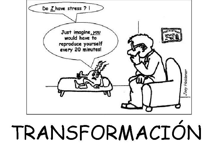 TRANSFORMACIÓN TRANSFORMACIÓN