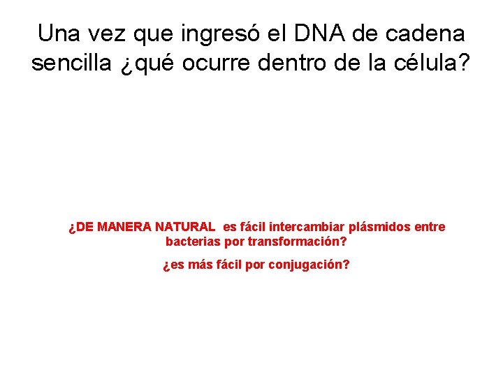 Una vez que ingresó el DNA de cadena sencilla ¿qué ocurre dentro de la Una vez que ingresó el DNA de cadena sencilla ¿qué ocurre dentro de la
