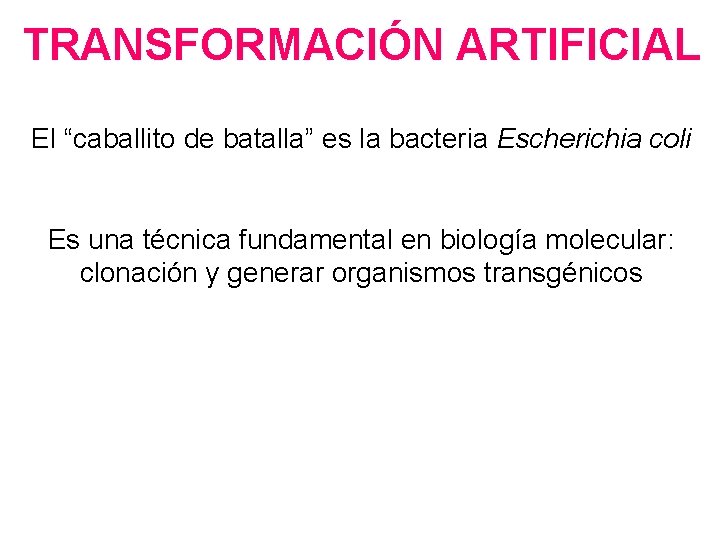 TRANSFORMACIÓN ARTIFICIAL El “caballito de batalla” es la bacteria Escherichia coli Es una técnica TRANSFORMACIÓN ARTIFICIAL El “caballito de batalla” es la bacteria Escherichia coli Es una técnica