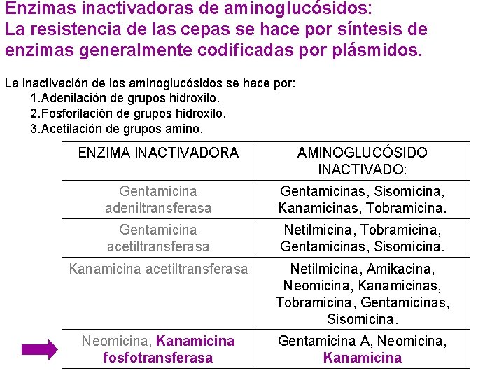 Enzimas inactivadoras de aminoglucósidos: La resistencia de las cepas se hace por síntesis de Enzimas inactivadoras de aminoglucósidos: La resistencia de las cepas se hace por síntesis de