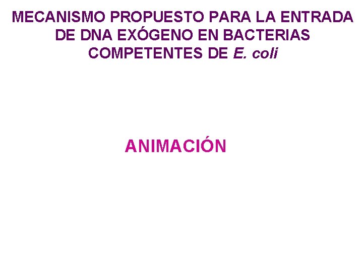 MECANISMO PROPUESTO PARA LA ENTRADA DE DNA EXÓGENO EN BACTERIAS COMPETENTES DE E. coli MECANISMO PROPUESTO PARA LA ENTRADA DE DNA EXÓGENO EN BACTERIAS COMPETENTES DE E. coli