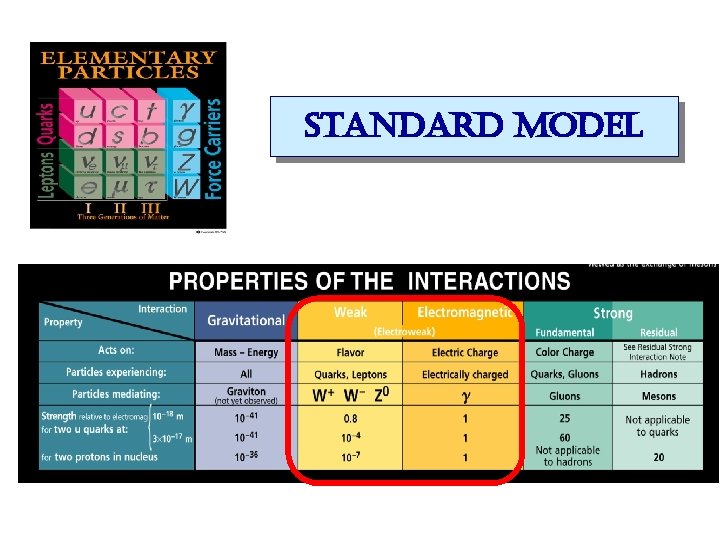standard model 