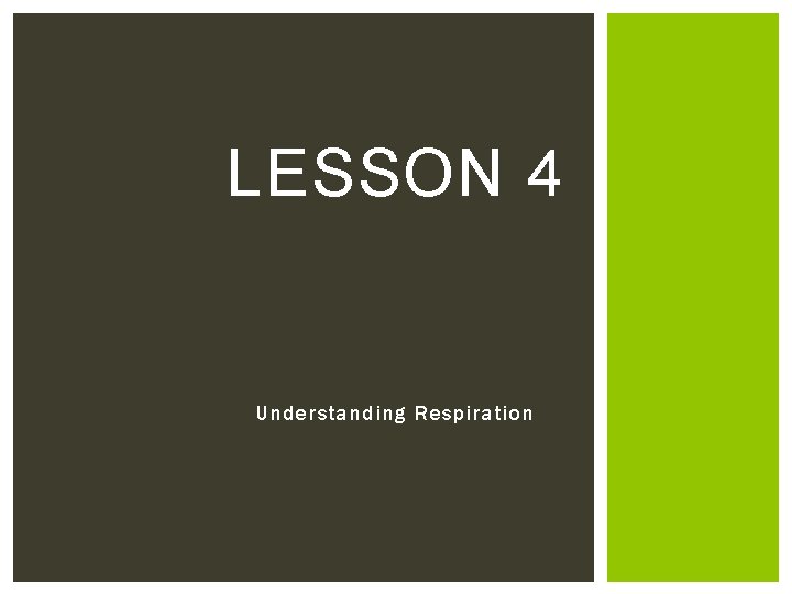 LESSON 4 Understanding Respiration 