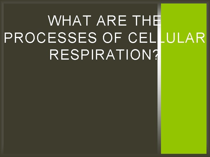 WHAT ARE THE PROCESSES OF CELLULAR RESPIRATION? 