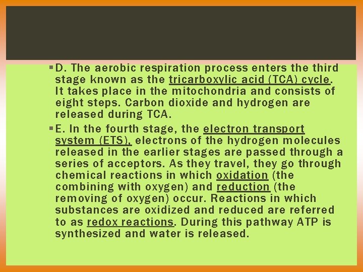 § D. The aerobic respiration process enters the third stage known as the tricarboxylic