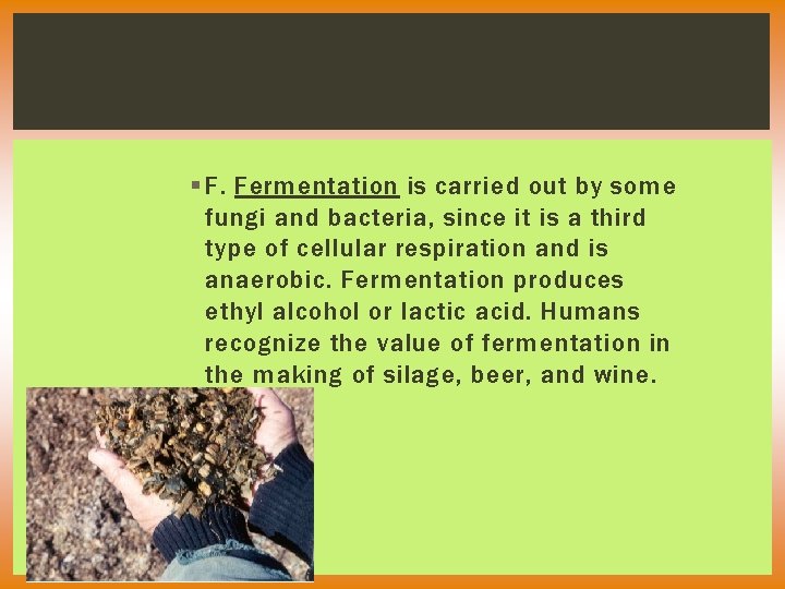 § F. Fermentation is carried out by some fungi and bacteria, since it is