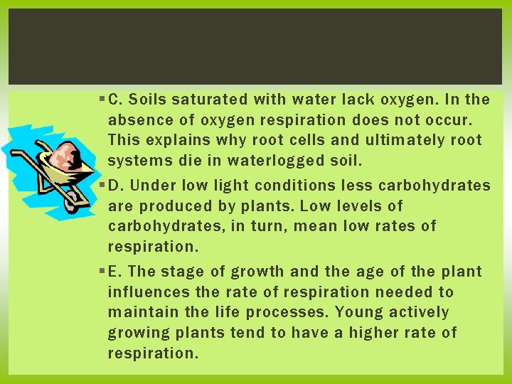 § C. Soils saturated with water lack oxygen. In the absence of oxygen respiration
