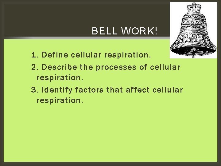 BELL WORK! 1. Define cellular respiration. 2. Describe the processes of cellular respiration. 3.