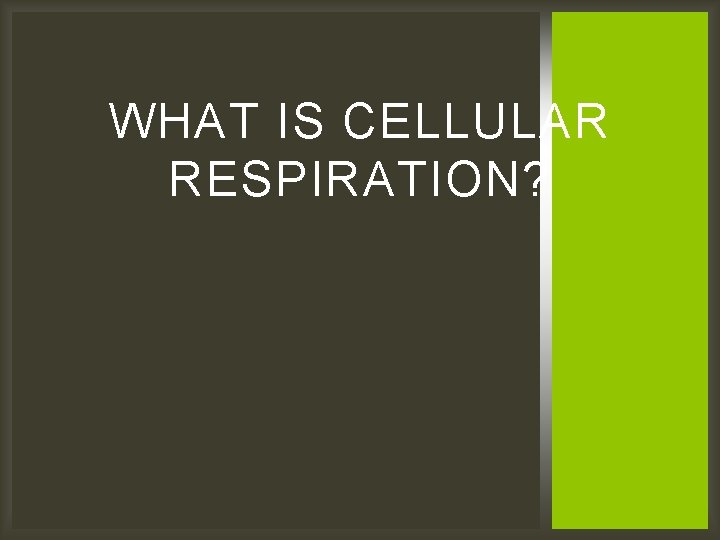 WHAT IS CELLULAR RESPIRATION? 