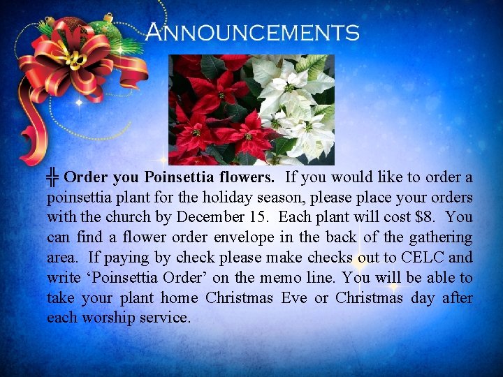 ╬ Order you Poinsettia flowers. If you would like to order a poinsettia plant