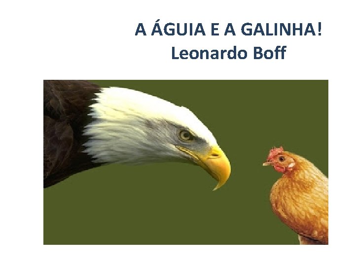 A ÁGUIA E A GALINHA! Leonardo Boff 