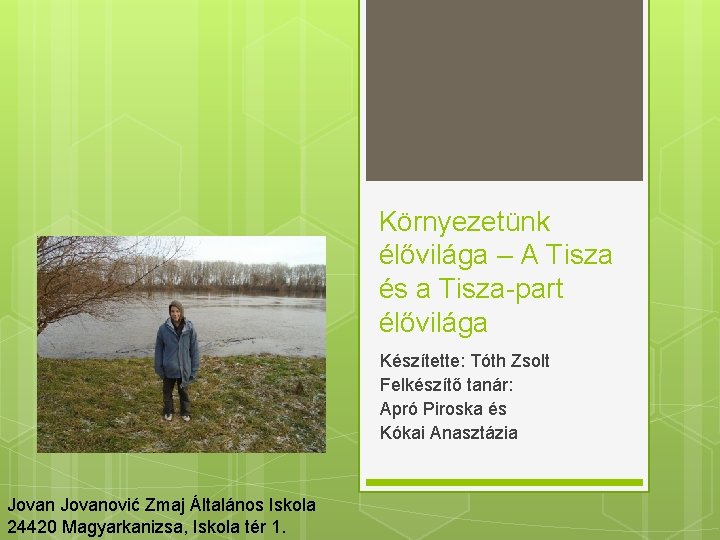 Környezetünk élővilága – A Tisza és a Tisza-part élővilága Készítette: Tóth Zsolt Felkészítő tanár: