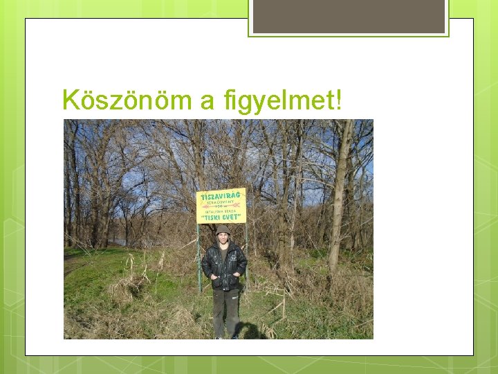 Köszönöm a figyelmet! 
