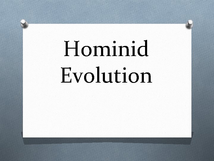 Hominid Evolution 