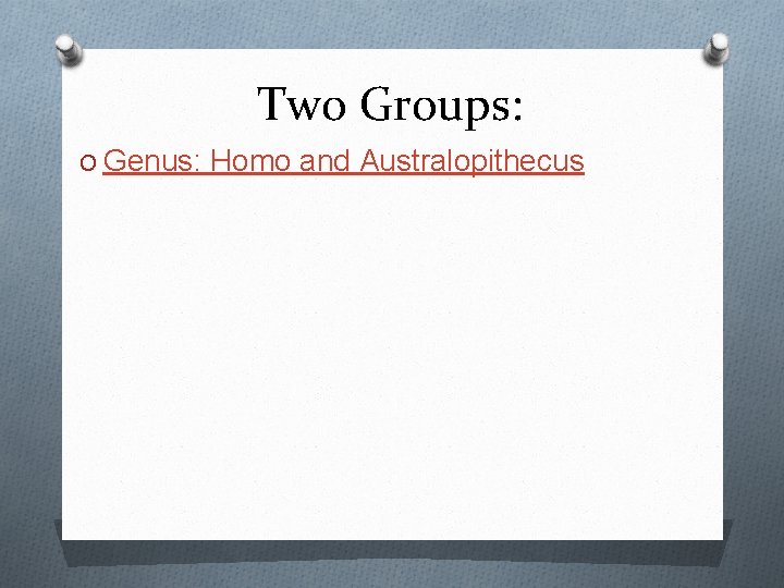 Two Groups: O Genus: Homo and Australopithecus 