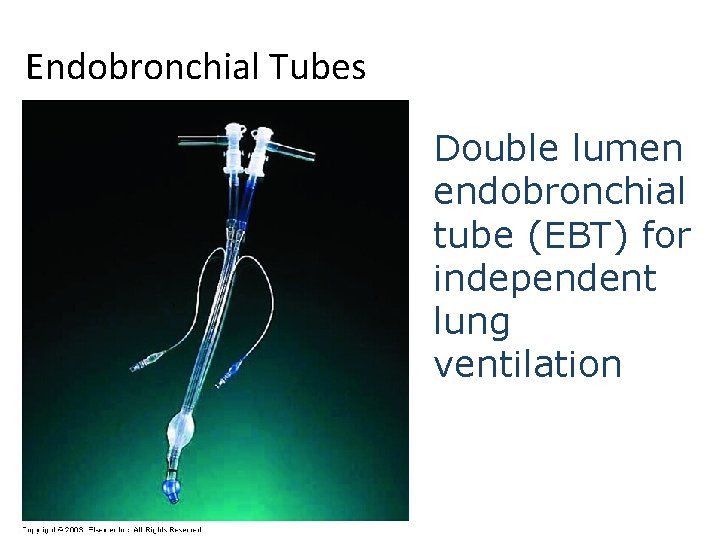 Endobronchial Tubes Double lumen endobronchial tube (EBT) for independent lung ventilation 