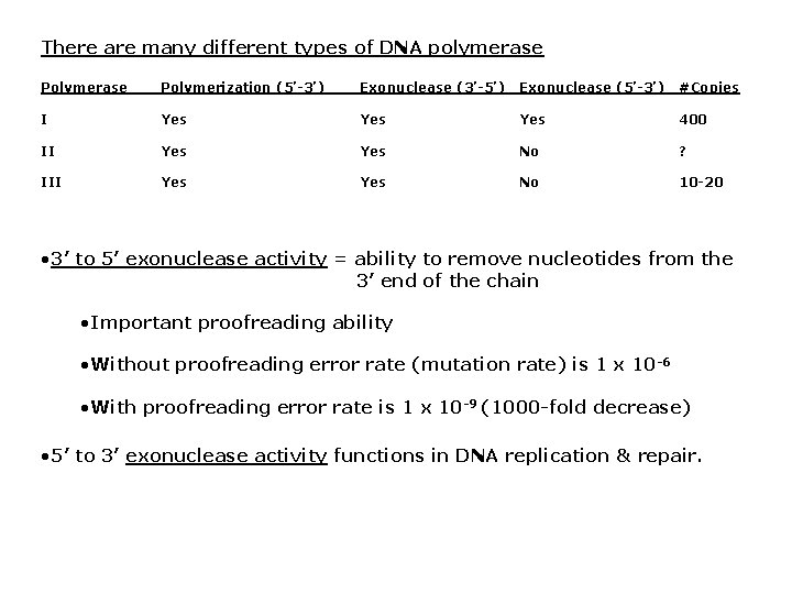 There are many different types of DNA polymerase Polymerization (5’-3’) Exonuclease (3’-5’) Exonuclease (5’-3’) There are many different types of DNA polymerase Polymerization (5’-3’) Exonuclease (3’-5’) Exonuclease (5’-3’)
