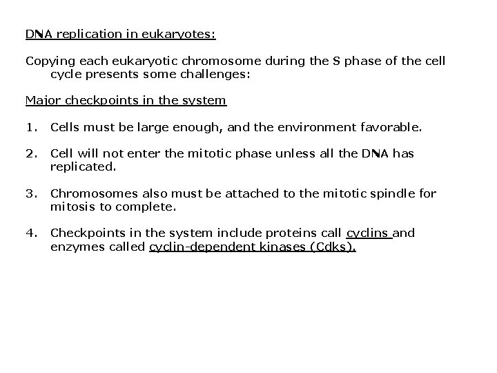 DNA replication in eukaryotes: Copying each eukaryotic chromosome during the S phase of the DNA replication in eukaryotes: Copying each eukaryotic chromosome during the S phase of the