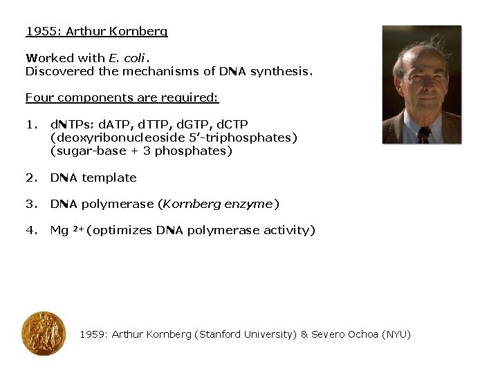 1955: Arthur Kornberg Worked with E. coli. Discovered the mechanisms of DNA synthesis. Four 1955: Arthur Kornberg Worked with E. coli. Discovered the mechanisms of DNA synthesis. Four